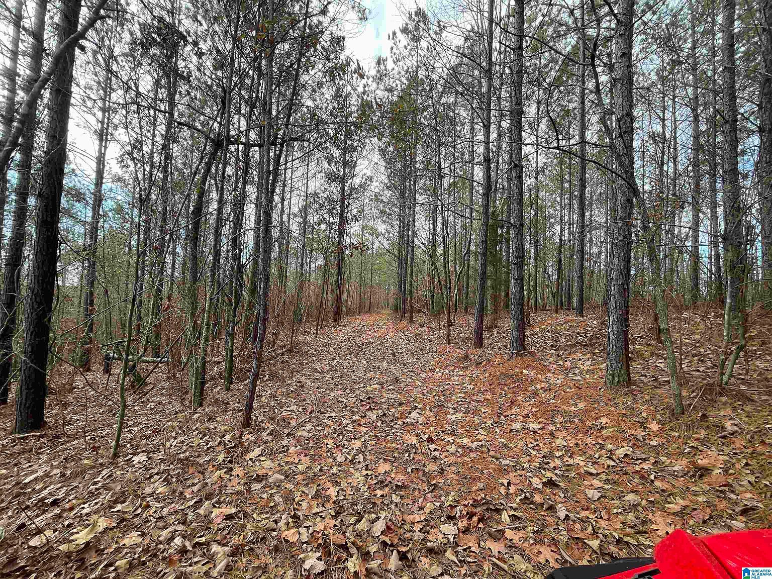 440 County Road 826, Wadley, AL 36276 MLS 21374665 Zillow