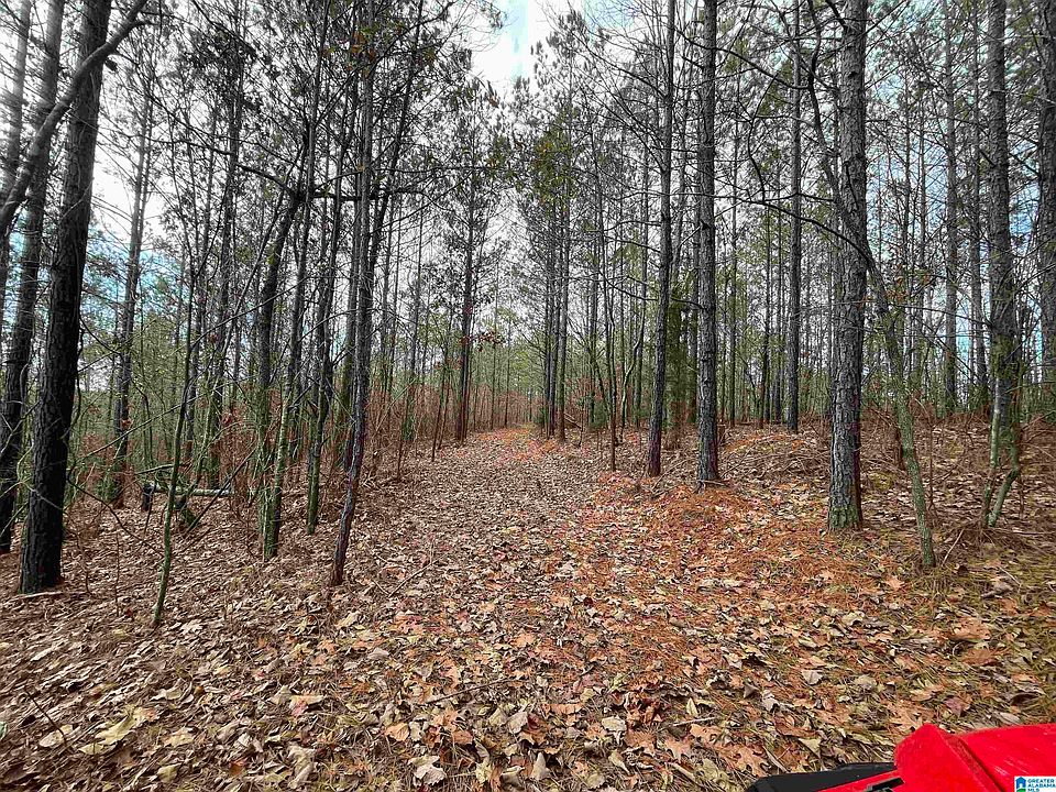 1st image of 440 County Road 826