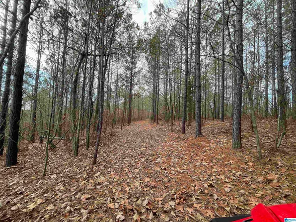 440 County Road 826, Wadley, AL 36276