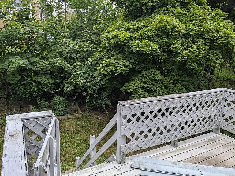 31 Rexhame St #2 — Photo 6