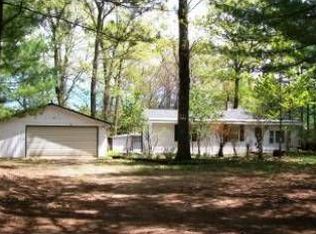 10008 S Rebecca Rd, Baldwin, MI 49304