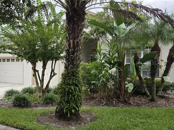 19205 Meadow Pine Dr, Tampa, FL 33647