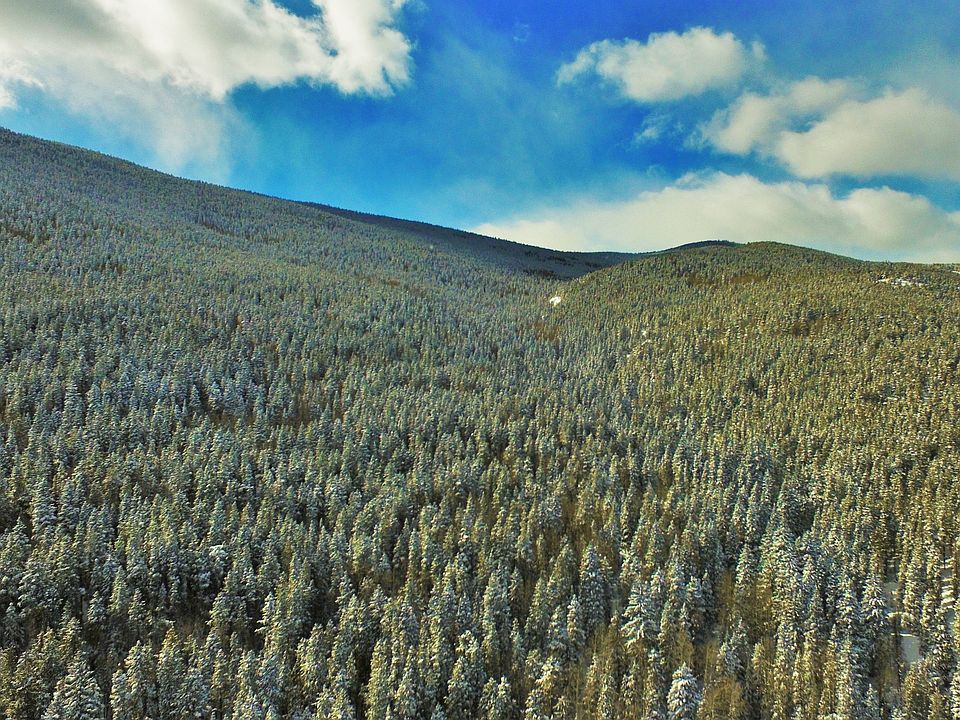 1st image of Cub Creek Trail