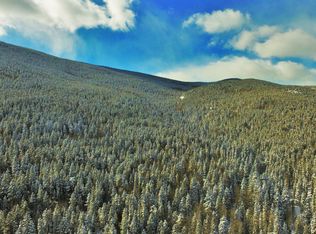 Cub Creek Trail, Bailey, CO 80421