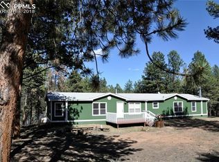 114 Blue Mountain Dr, Florissant, CO 80816