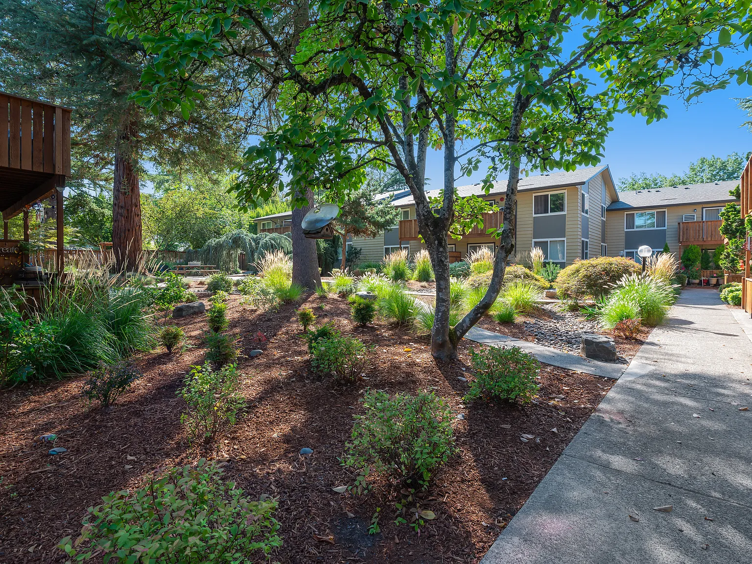 Park At Allen Apartments — Photo 4