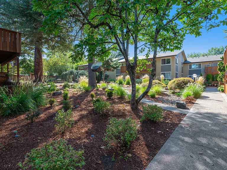 Park At Allen Apartments — Photo 4