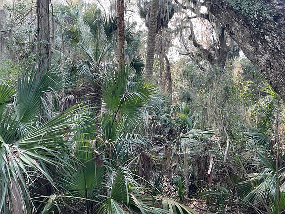 4th image of 539 Oristo Rdg