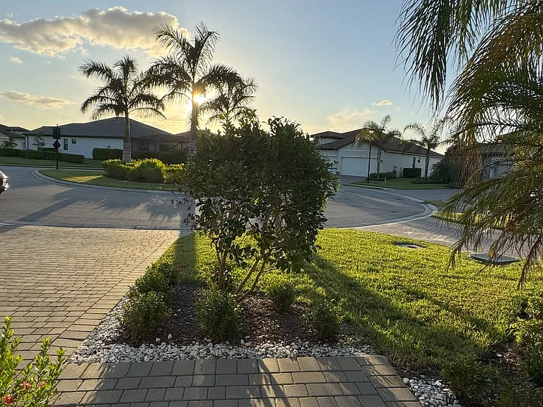 11864 Misty Arbor Run — Photo 4