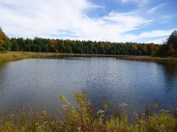 1st image of Blueberry Mountain Lane