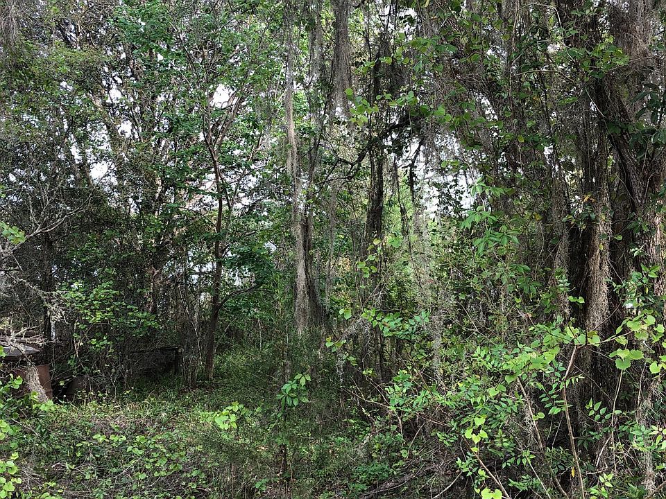 2nd image of 000 LAKEVIEW Road