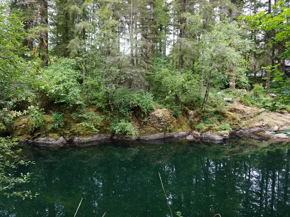 30815 NE Sunset Falls Rd, Yacolt, WA 98675