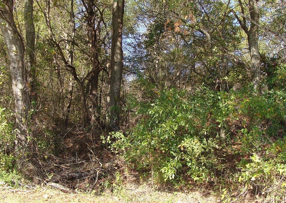 2nd image of Barfield Rd