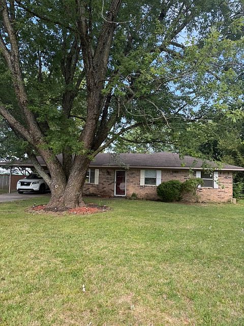 Large Maple shade tree in the front yard