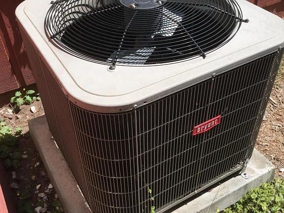 Photo Mar 21, 1 59 03 PM