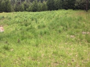 7197 Grizzly Creek Dr, Grizzly Flats, CA 95636