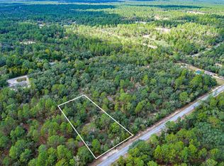 SW Big Tree Rd LOT 8, Dunnellon, FL 34431