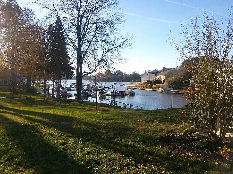 View from back patio