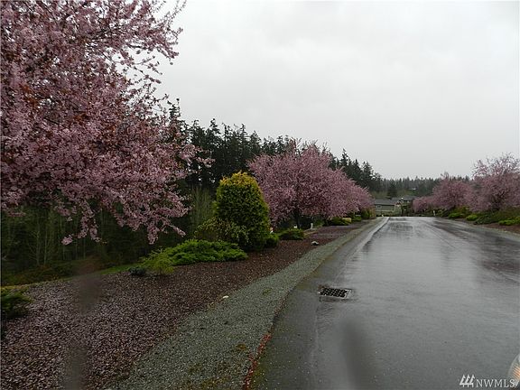 5th image of 1089 Saint Moritz Ct