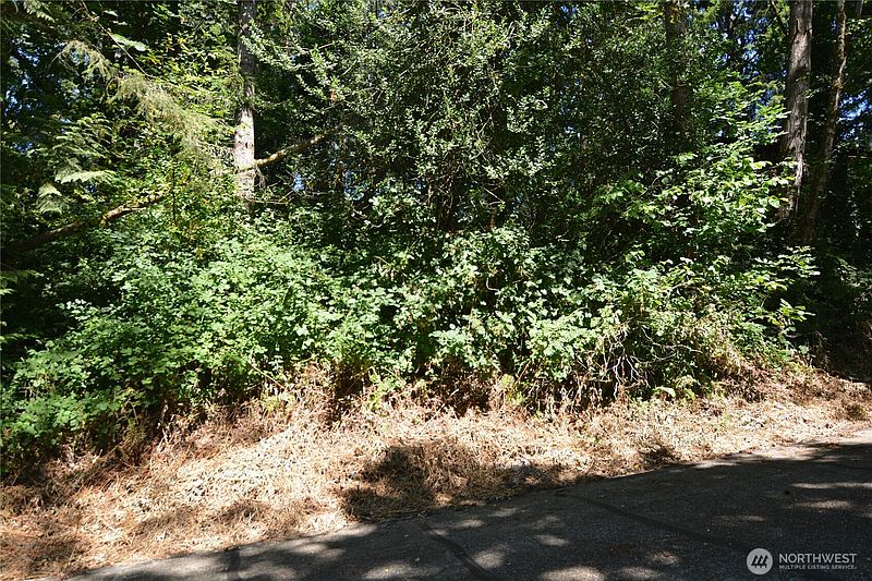 5th image of 2428 Archwood Drive