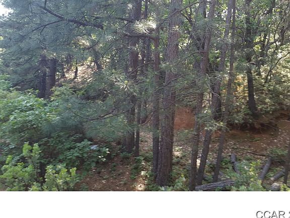 4th image of 712 Utica Dr