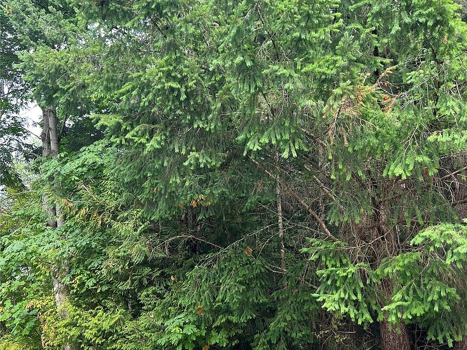 1st image of 2 Park Drive