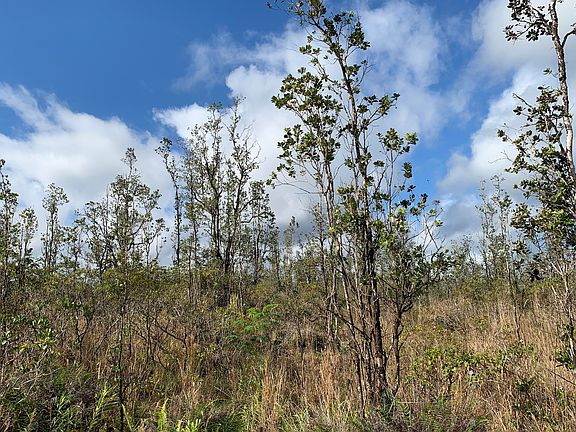 5th image of 16-2054 Sandalwood Ct Lot 10