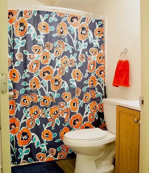 1br furnished