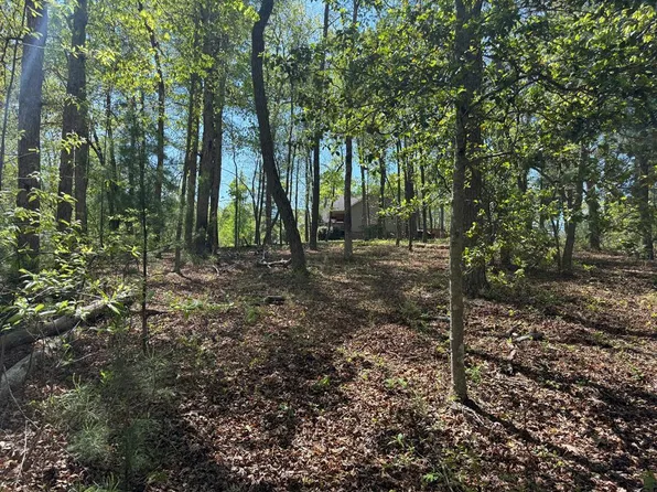 0 Windfield Cir, Blue Ridge, GA 30513
