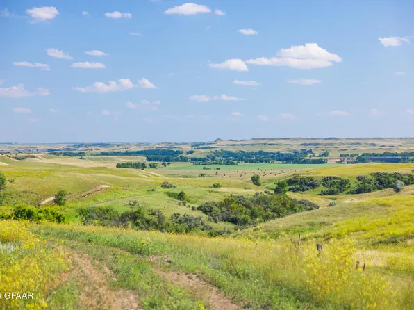 60 Avenue Sw, Carson, ND 58529