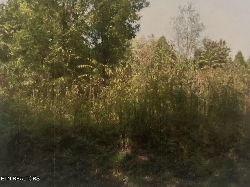1st image of 141 Amohi Way