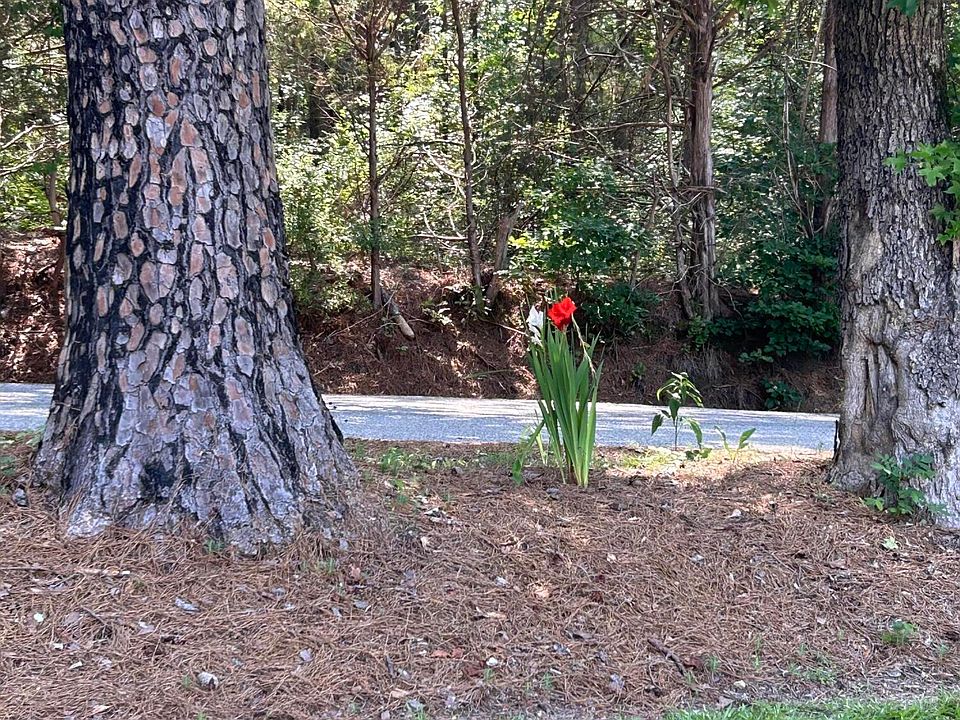 30029 Guyton Rd, Amory, MS 38821 MLS 232111 Zillow