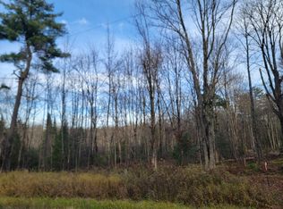 N Lake Winter Rd #157AC, Winter, WI 54896