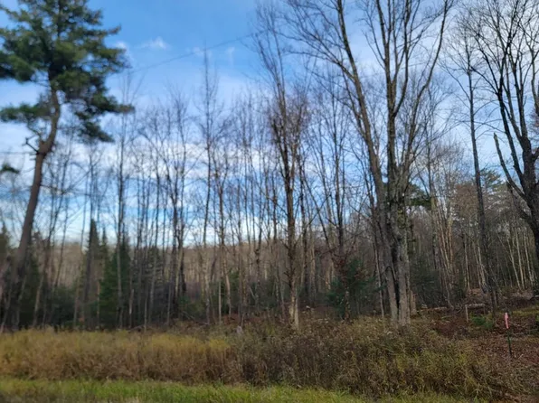 N Lake Winter Rd #157AC, Winter, WI 54896
