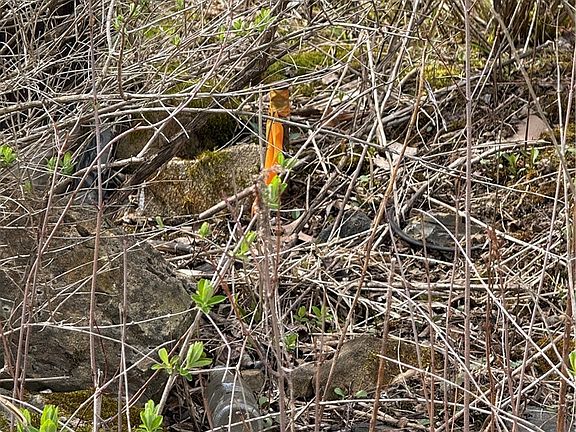 4th image of 0 Walker Farm Rd