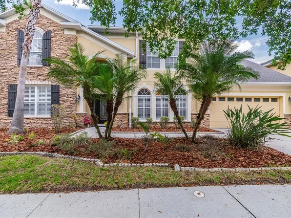 16119 Colchester Palms Dr, Tampa, FL 33647