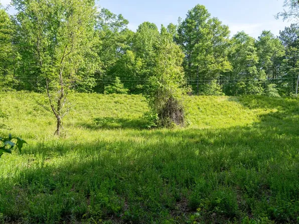 0 Dam Rd, Wilsonville, AL 35186