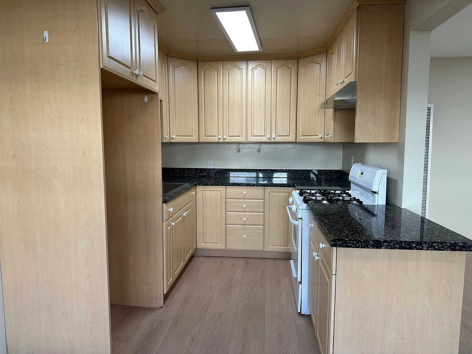1 bed, 700 sqft, $2,100 — Photo 2
