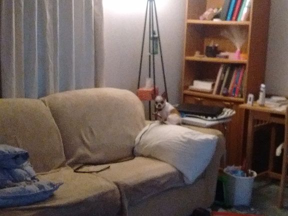 Messy Living room.  