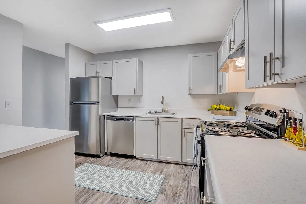 Woodspring Apt — Photo 3