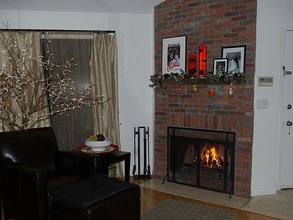 Wood Burning Fireplace