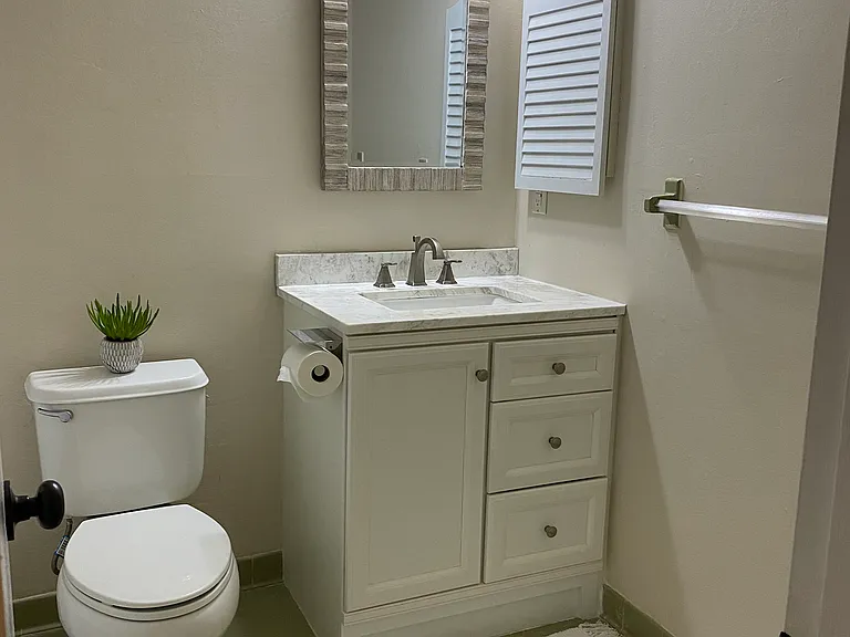 Hall bathroom