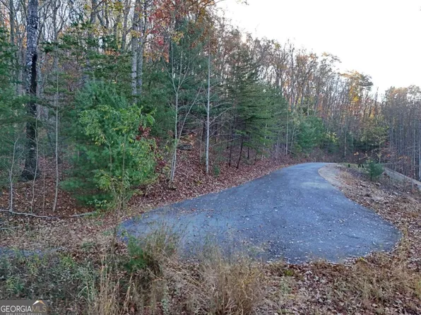 LOT 20&21 Red Twig Rd, Blairsville, GA 30512