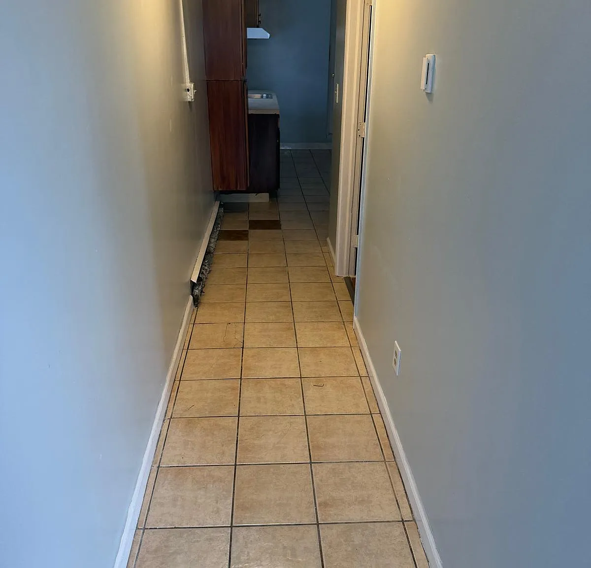 1132 Wolf Street - 1 — Photo 3