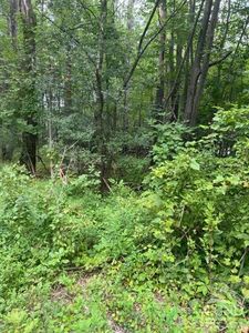 15 Ambassador Court, Athens, NY, 12015