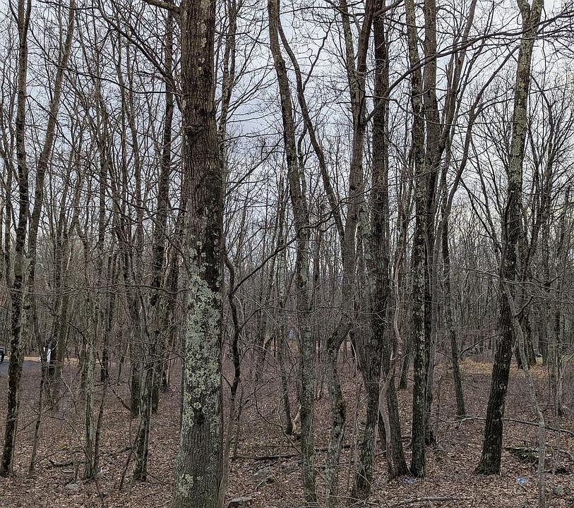 1st image of 0 Seneca Rd