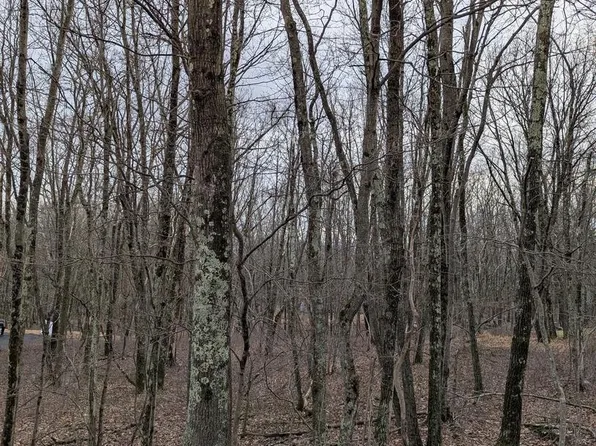 0 Seneca Rd, Albrightsville, PA 18210