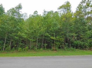 240 Vineyard Cove Dr, Loudon, TN 37774