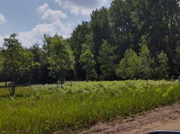 36 N Cut Rd, Roscommon, MI 48653