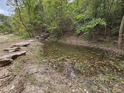 Tract 3 Coble Lane, Anderson, MO, 64831